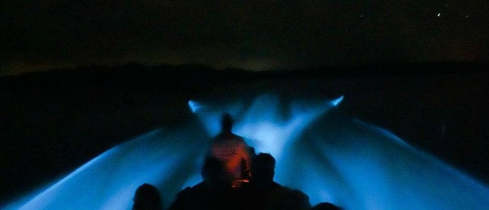 bioluminescence from boat