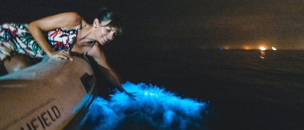 shaking bioluminescent plankton