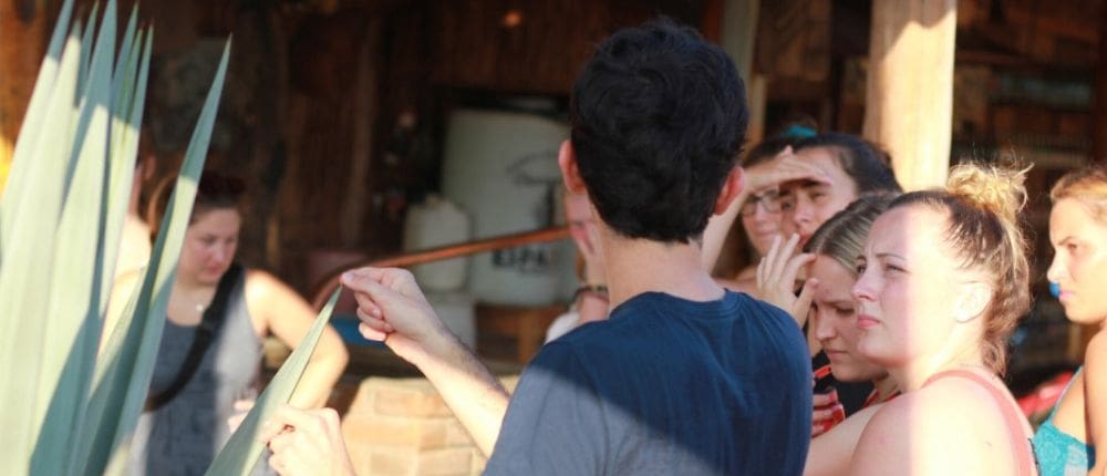 mezcal fabrication process