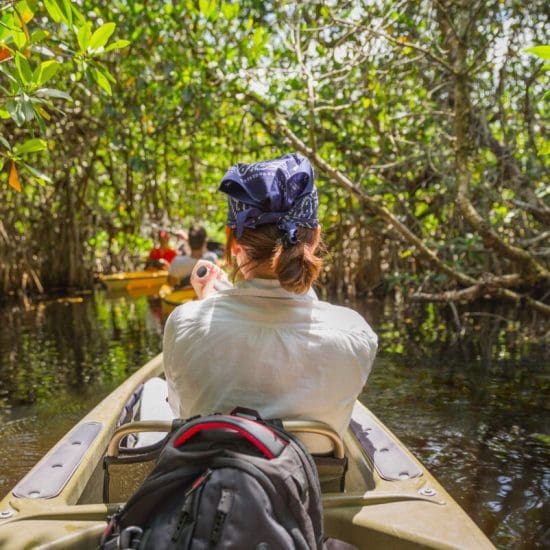 kayaking mangroves Mexico