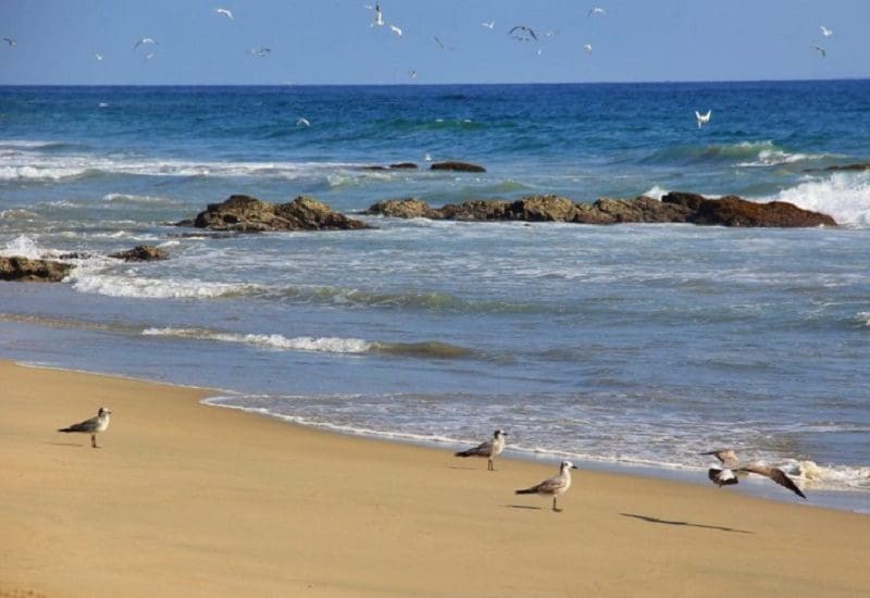 Screenshot 2023-07-18 175216 Agua blanca Puerto Escondido