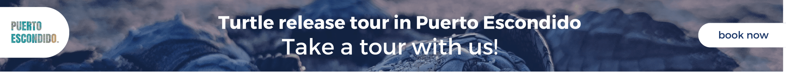 banner leaderboard turtles