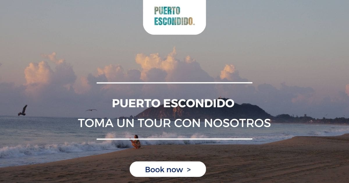 8 tours en puerto escondido oaxaca