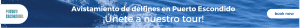 tour delfines puerto escondido