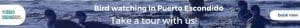 bird watching puerto escondido