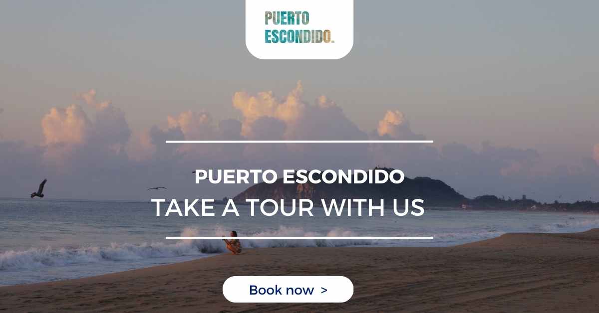 puerto escondido tours