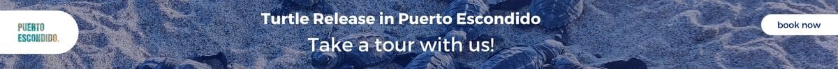 Turtle release Puerto Escondido