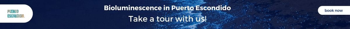 bioluminescence tour puerto escondido